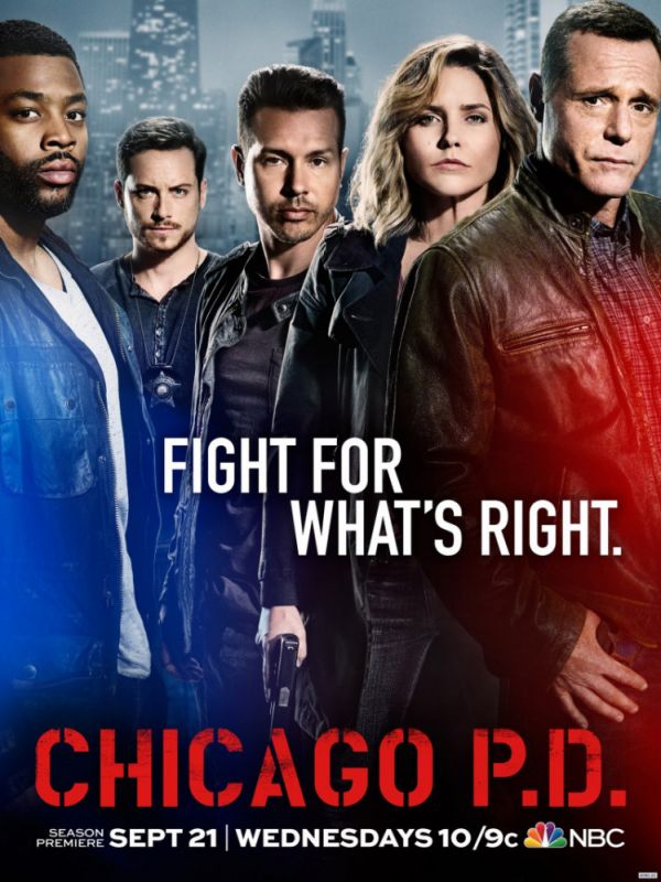Сериал  Полиция Чикаго 10 сезон (2022) скачать торрент