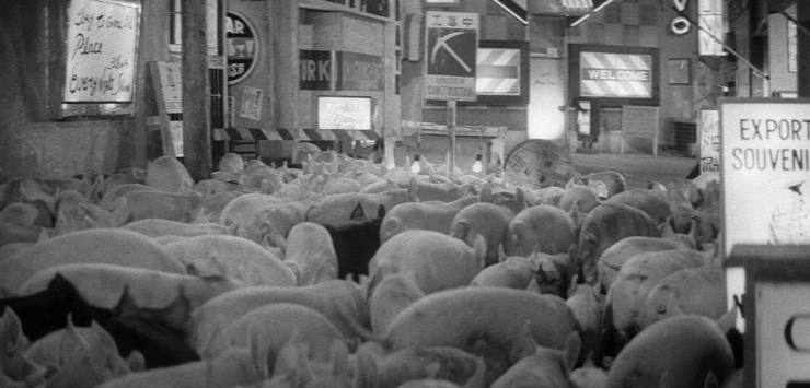Свиньи и броненосцы кино фильм 1961 скачать торрент